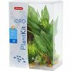 Zolux Plantkit Idro N°2 Zolux Aquarium-decoratie