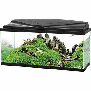 Aquariums Ciano Ciano Aquarium LED Bio Zwart 74 liter 80x30x41,5 cm