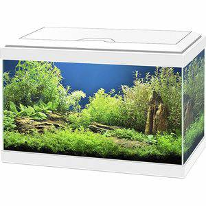 Ciano Aqua 20 Aquarium 40x 20x31 cm 17L Wit Ciano Aquariums