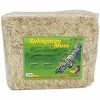 Lucky reptile Lucky Reptile Sphagnum Moss 500 g veenmos blok voor reptielen Terrarium mos om luchtvochtigheid te verhogen Mos uit gecontroleerde teelt voor orchideeën en bromelia's Reptielen accessoires Terrarium-accessoires