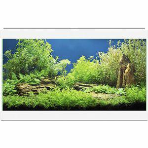 Ciano Aqua 20 Aquarium 40x 20x31 cm 17L Wit Ciano Aquariums