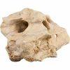 Sera Rock Hole Stone (prijs per steen) verschillende maten gatsteen of gatstenen Decoratie rots Malawi tanganjica meer natuursteen decoratie voor het aquarium, S/M (Stuk 0,6 1,4 kg) Aquarium-decoratie Sera