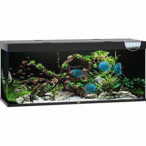 Juwel Rio 450 LED | 450L | 151 x 51 x 66CM Zwart Juwel Aquariums