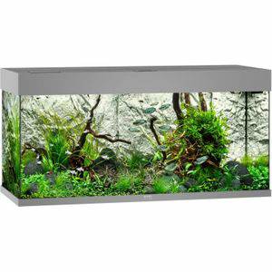 Juwel Aquariums Juwel Aquarium Rio 180 Led 101x41x50 cm Aquaria Grijs Ca. 180 L