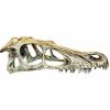 Komodo T Rex Skull Large Aquarium-decoratie Komodo