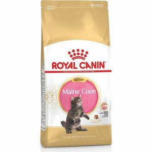 Royal Canin Voer 4kg Maine Coon Kitten Royal Canin Kattenvoer