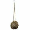 Dierenspeelgoed 3 STUKS Parrot Toy Sepak Takraw Cotton Bite Ball verlicht verveling en voorkomt bijtend haar Specificatie: 10cm