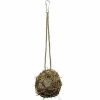 Dierenspeelgoed 3 STUKS Parrot Toy Sepak Takraw Cotton Bite Ball verlicht verveling en voorkomt bijtend haar Specificatie: 15cm